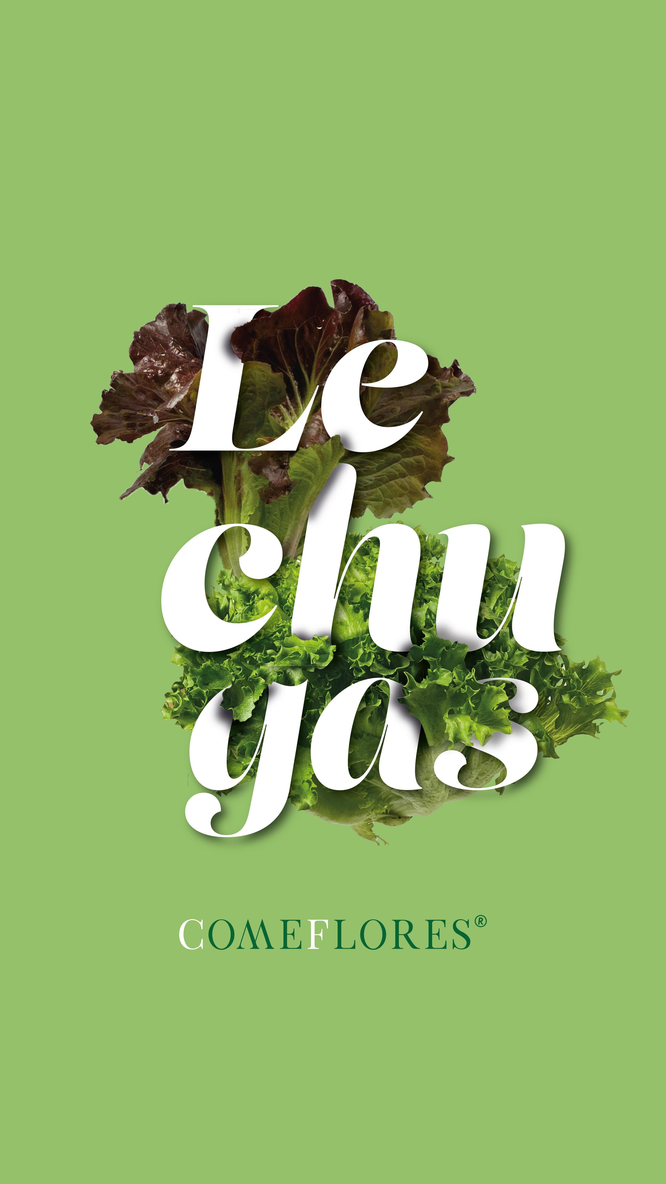 Lechugas