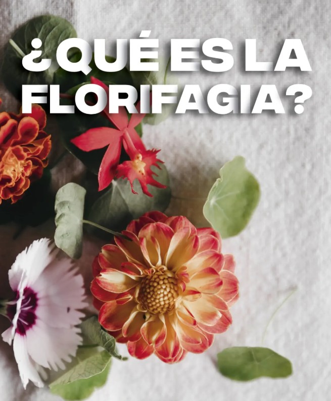 ¿Qué es la Florifagia?