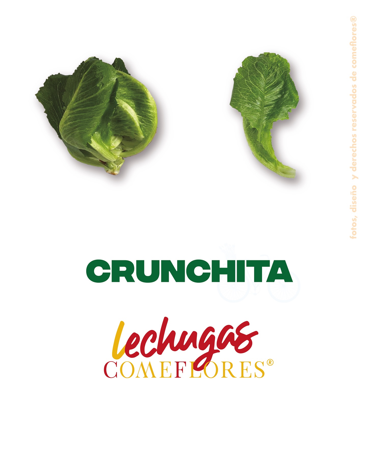 Crunchita Póster